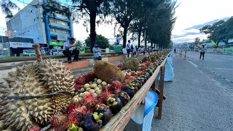 Kidapawan City: The City of Fruits and Highland Springs.